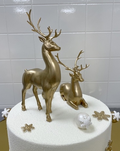 Lesbian anilingus porno Veb-kamerada etuk ayollar